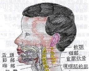 自学声乐一年,如何提高唱歌水平 自学声乐一年,如何提高唱歌水平 - 爱唱歌