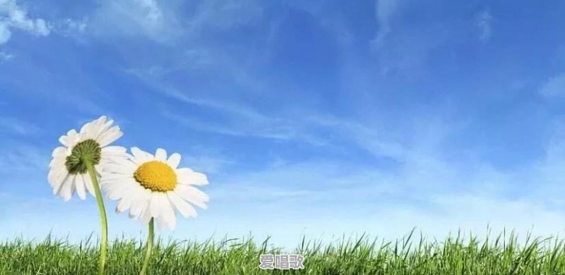 酷狗上的好多歌都是,因版权方要求不能听了是什么情况 酷狗上的好多歌都是,因版权方要求不能听了是什么情况 - 爱唱歌