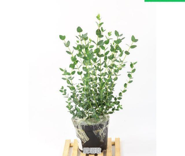 每天工作很晚很辛苦但是老婆却埋怨自己没本事自找的,该怎么办 每天工作很晚很辛苦但是老婆却埋怨自己没本事自找的,该怎么办 - 爱唱歌
