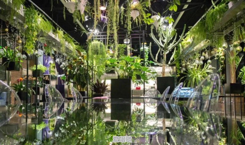 干冰唱歌视频拍摄技巧是什么 干冰唱歌视频拍摄技巧是什么 - 爱唱歌