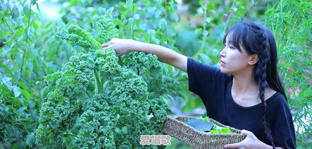 海南歌手海南网红是谁 - 爱唱歌