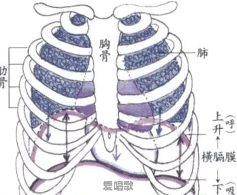 怎么运用腹式呼吸唱歌学了腹式呼吸唱歌时候我觉得跟原来没什么区别而且更加费力 怎么运用腹式呼吸唱歌学了腹式呼吸唱歌时候我觉得跟原来没什么区别而且更加费力 - 爱唱歌