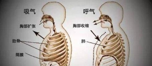 唱歌教学中的技巧有哪些 唱歌教学中的技巧有哪些 - 爱唱歌