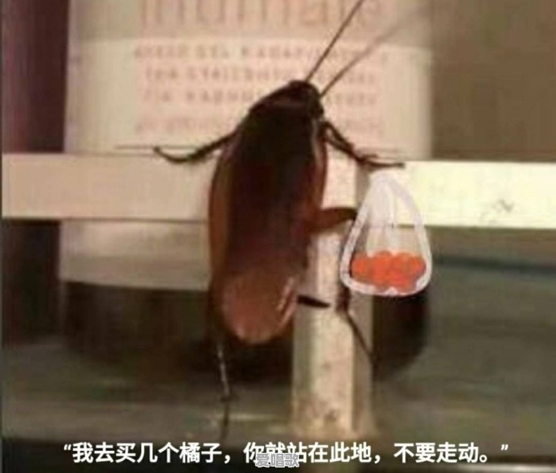 每天奔波粤语歌曲视频 每天奔波粤语歌曲视频 - 爱唱歌