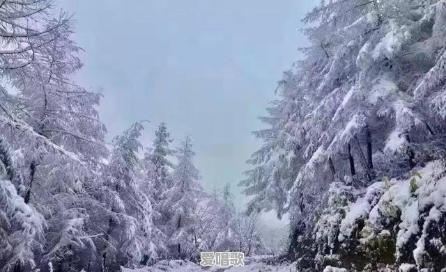 普陀山可以住里面吗 普陀山可以住里面吗 - 爱唱歌