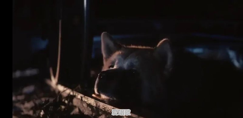 有什么偏执病娇系男主的小说推荐 有什么偏执病娇系男主的小说推荐 - 爱唱歌