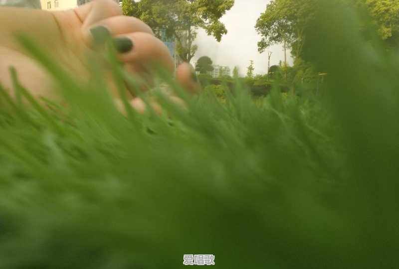 思念粤语歌曲大全视频 思念粤语歌曲大全视频 - 爱唱歌