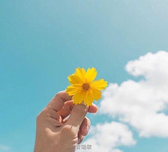 航行这首歌曲的歌词，我需要中英文对照 - 爱唱歌