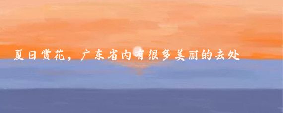 夏日赏花,广东省内有很多美丽的去处