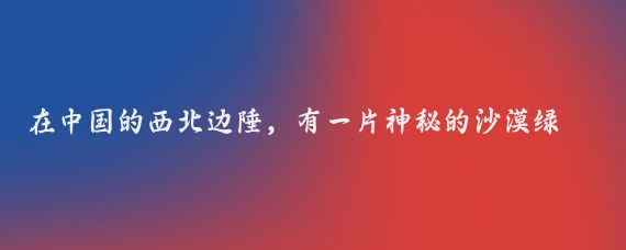在中国的西北边陲,有一片神秘的沙漠绿洲——巴音郭楞塔里木胡杨林