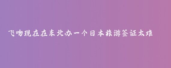 飞吻现在在东北办一个日本旅游签证太难了,条件太苛刻,尤其对自由职业者