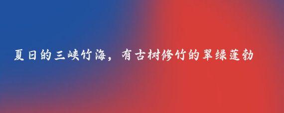 夏日的三峡竹海,有古树修竹的翠绿蓬勃、有泉水叮咚的溪流长瀑