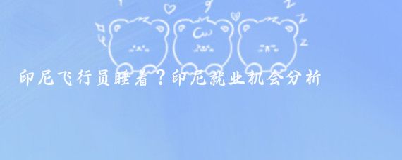 印尼飞行员睡着?印尼就业机会分析