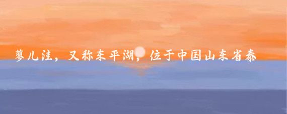 蓼儿洼,又称东平湖,位于中国山东省泰安市东平县境内,是水浒传中八百里水泊唯一