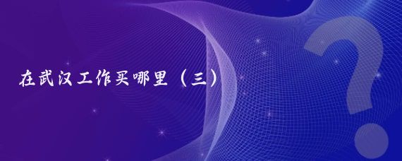 在武汉工作买哪里(三)