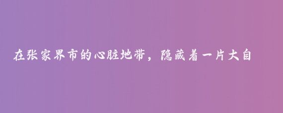 在张家界市的心脏地带,隐藏着一片大自然的奇迹——金鞭溪峡谷