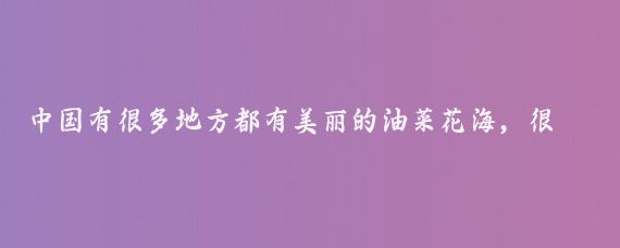 中国有很多地方都有美丽的油菜花海,很难说哪里的油菜花海最美