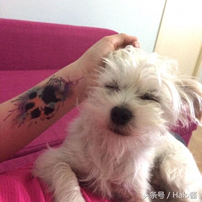 30张能让狗狗永远陪在你身边的狗狗脚印刺青!